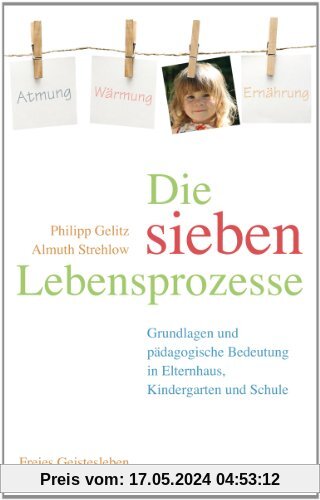 Die sieben Lebensprozesse: Grundlagen und pädagogische Bedeutung in Elternhaus, Kindergarten und Schule